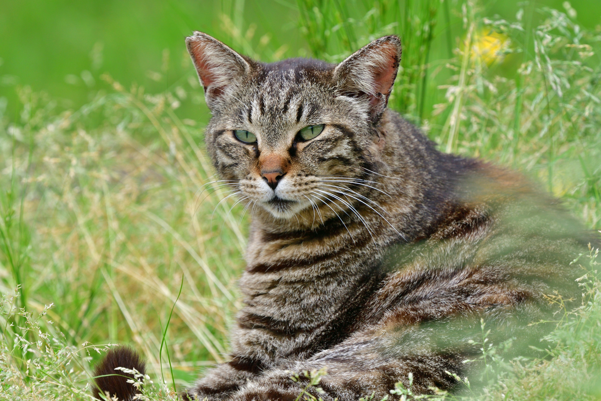 ȋȑqZ 237rڔLKCWuX [f]ڋ֎~]©bbspink.com	YouTube>1{ ->摜>3567 