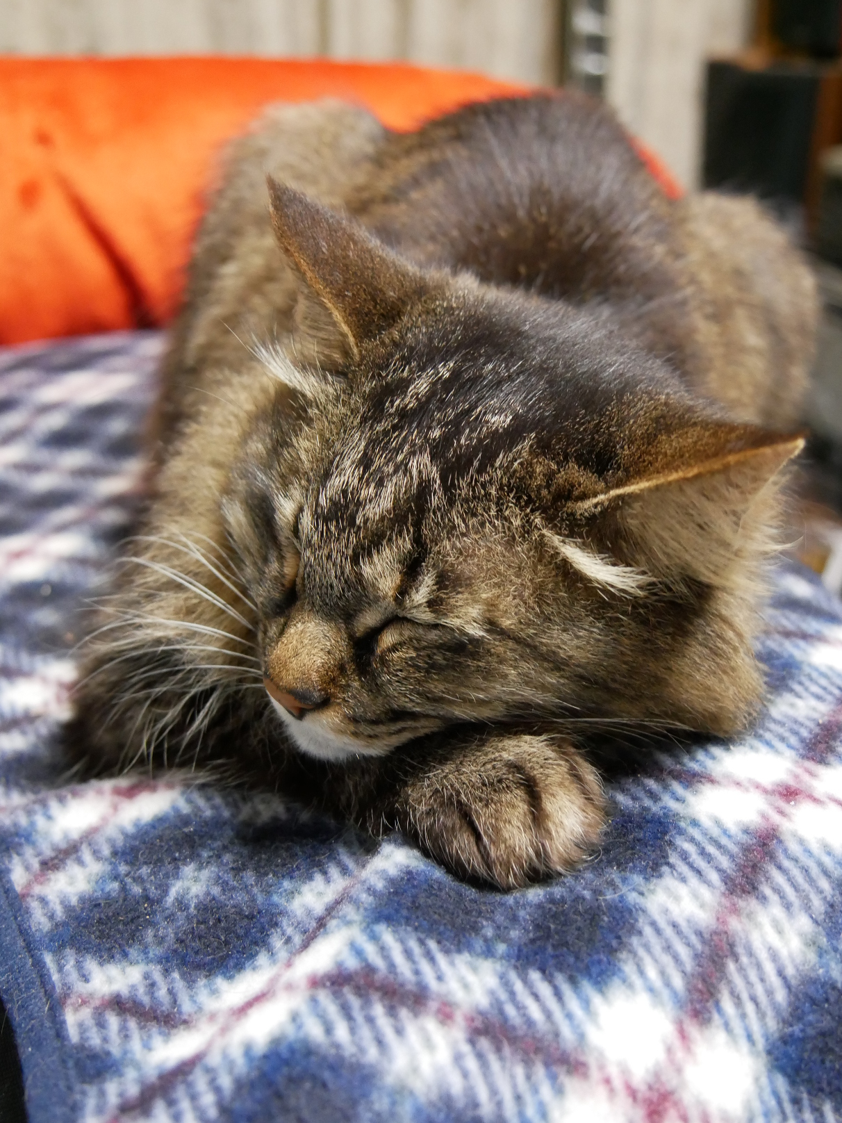 ȋȑqZ 237rڔLKCWuX [f]ڋ֎~]©bbspink.com	YouTube>1{ ->摜>3567 