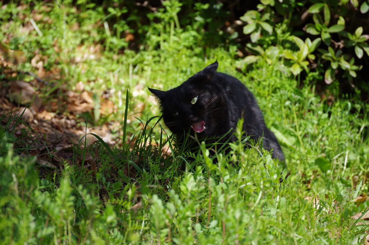 ȋȑqZ 237rڔLKCWuX [f]ڋ֎~]©bbspink.com	YouTube>1{ ->摜>3567 